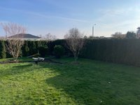garten-4.jpg