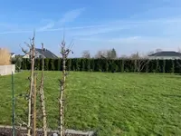 garten-2.jpg