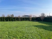 garten-1.jpg