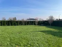 garten-1.jpg