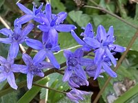 IMG_3944.jpeg