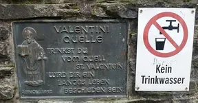 eine-quelle-des-lebens-neben-nicht.a4szca.mqedkx.im.lg.webp