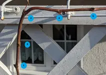 Knospenuebersicht.webp