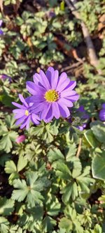 1de556cf-4dba-4237-b9c5-cd2e7eca57d0.jpg