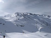 PXL_20240302_090829273.jpg