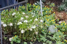März    0524.webp