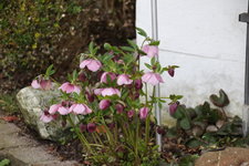 März    0624.JPG