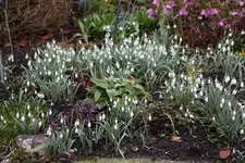 März    0424.webp