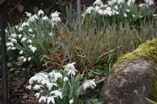 März    0924.webp