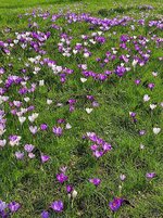 IMG_20240303_115156.jpg