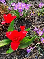 IMG_20240303_120934.jpg