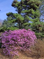 IMG_20240303_115657.jpg