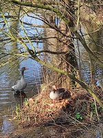 IMG_20240303_113224.jpg