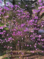 IMG_20240303_114006.webp