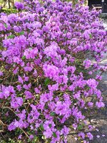 IMG_20240303_113800.jpg