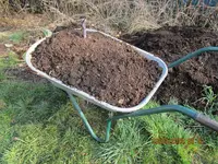 die erste Karre Erde.webp