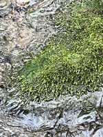 IMG_1981.jpeg
