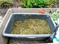 fertiges Bokashi in Kübel.webp