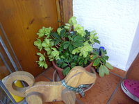 DSC03301.JPG