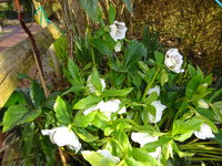 DSC03299.JPG