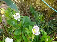 DSC03300.JPG