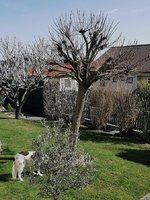 IMG_20240304_121948.jpg