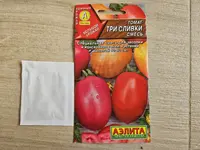 20240305_133516.jpg