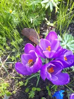 20240304_110155.webp