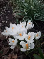 20240304_160921.webp