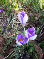 20240304_110123.webp
