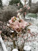 IMG_2052.webp