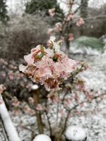 IMG_2052.jpeg