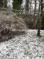 IMG_2053.jpeg