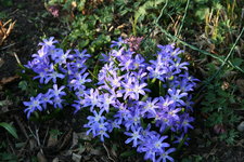 Frühling 0519.JPG