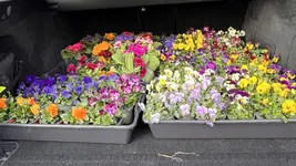 IMG_9359.webp