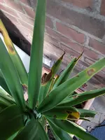 20240225_172239.webp