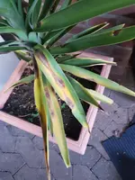 20240225_172228.webp