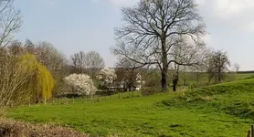 IMG_20240307_140821.jpg