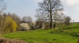 IMG_20240307_140821.jpg