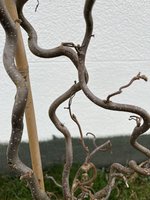 IMG_0770.jpeg