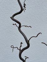 IMG_0771.jpeg