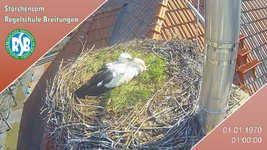 IMG_1424.jpeg