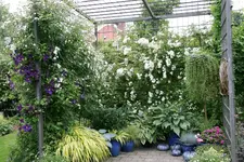 Rosenlaube  0722.webp