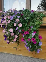 IMG_20230912_184625.webp