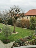 IMG_20240310_101900.jpg