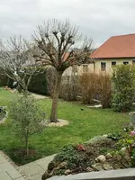 IMG_20240310_101900.webp IMG_20240310_101900.webp