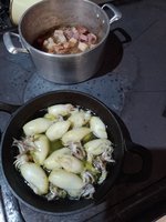 IMG_20240309_175030.jpg