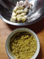 IMG_20240309_124542.jpg