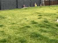 IMG_2894.jpeg