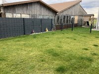 IMG_2895.jpeg